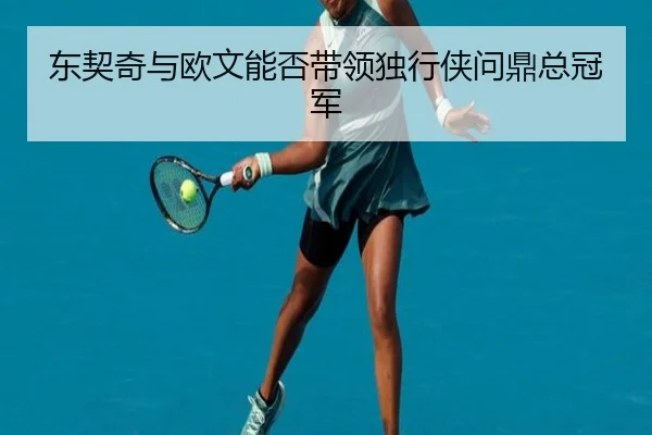 东契奇与欧文能否带领独行侠问鼎总冠军